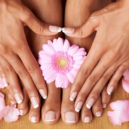 SEASON NAILS & SPA - Other Services